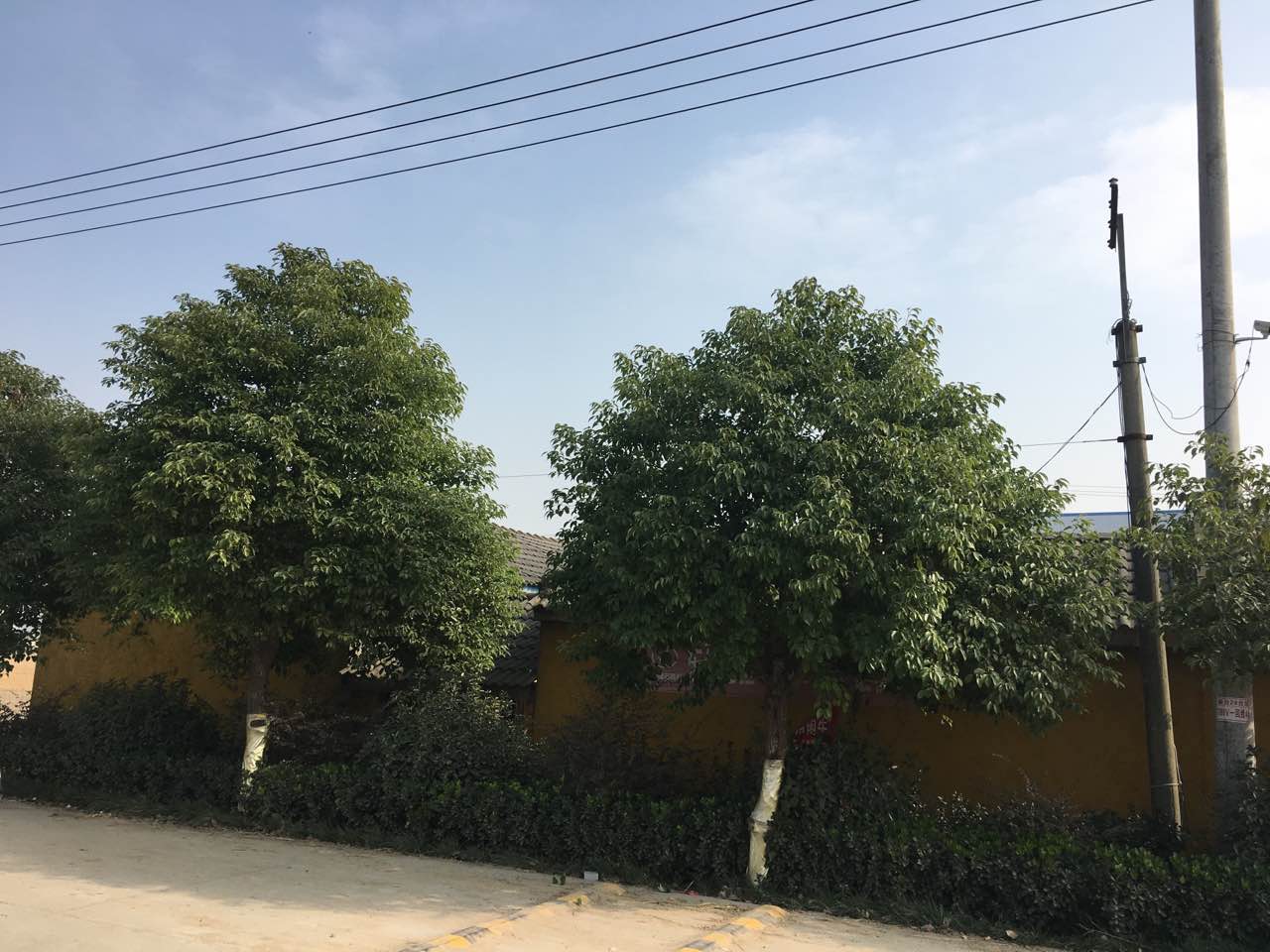 厂房设备<